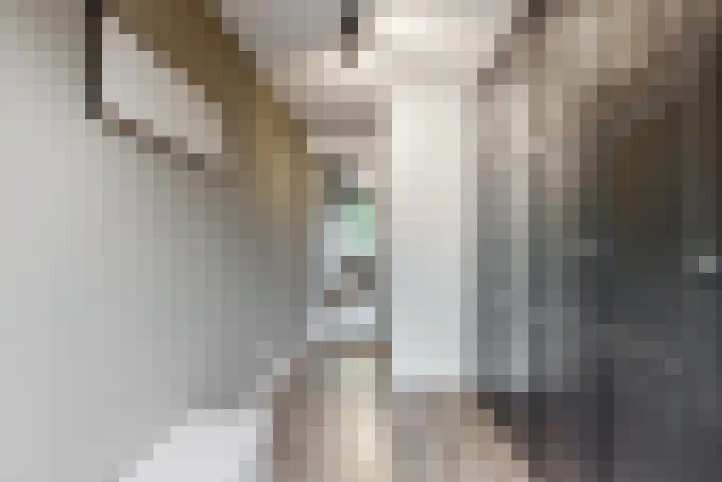Zuiderstraat 34 Zwaag thumbnail 20