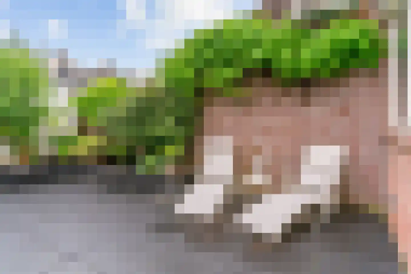 Zuiderstraat 34 Zwaag thumbnail 31