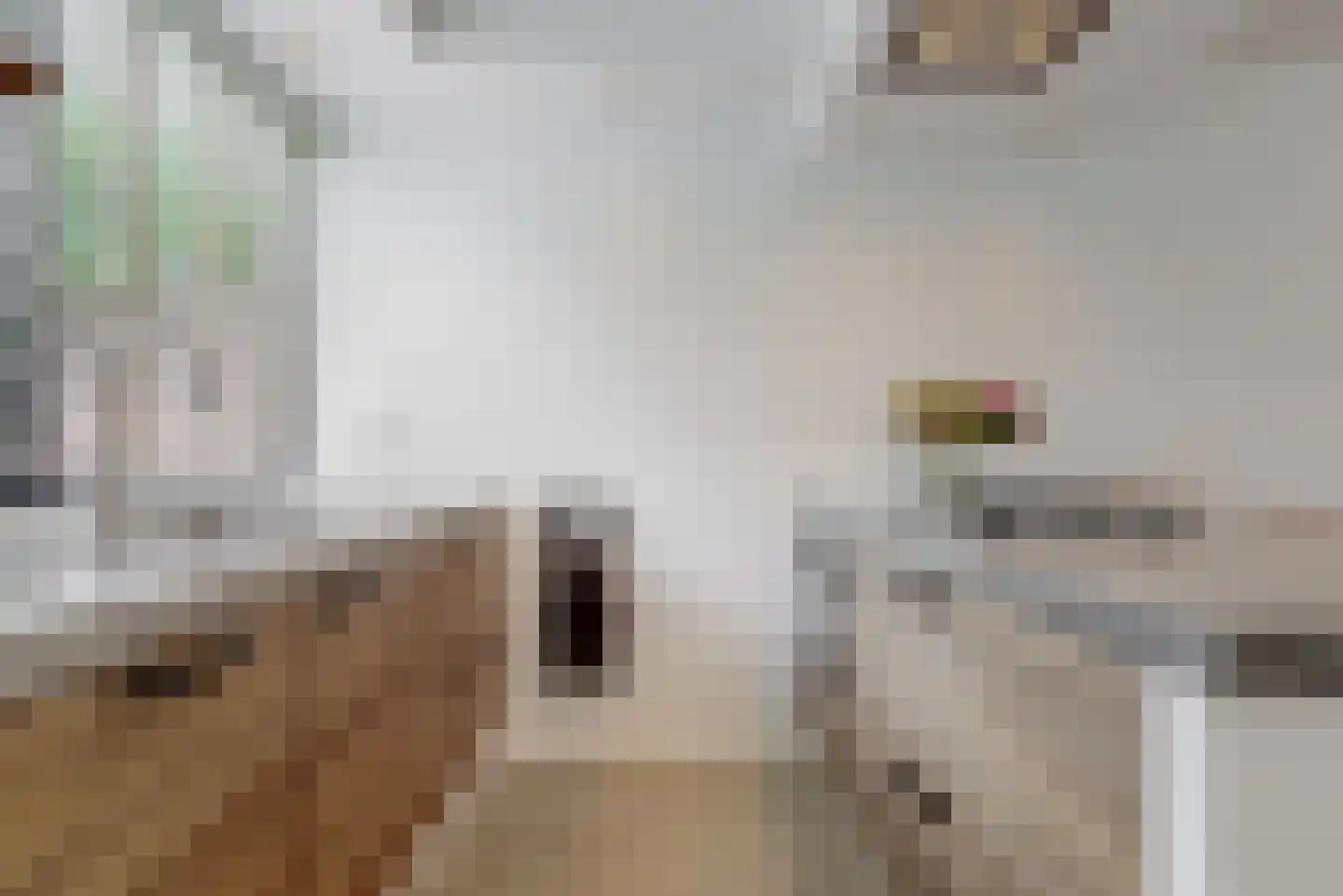 Zuiderstraat 34 Zwaag thumbnail 9