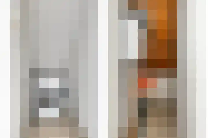 Zuiderstraat 38 Bellingwolde thumbnail 32
