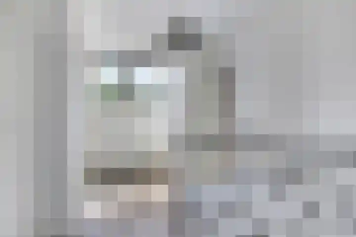 Zuiderstraat 38 Bellingwolde thumbnail 38