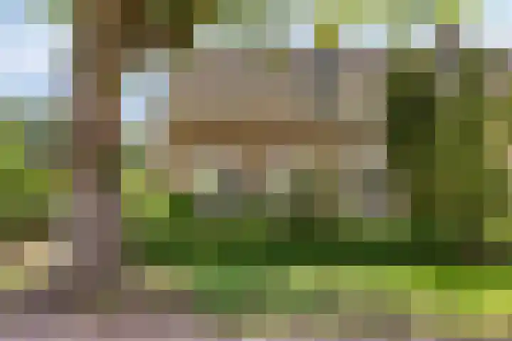 Zuiderstraat 38 Bellingwolde thumbnail 6