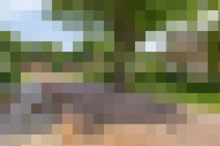 Zuiderstraat 38 Bellingwolde thumbnail 7