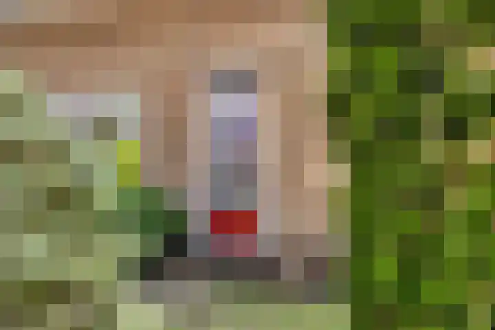 Zuiderstraat 38 Bellingwolde thumbnail 8