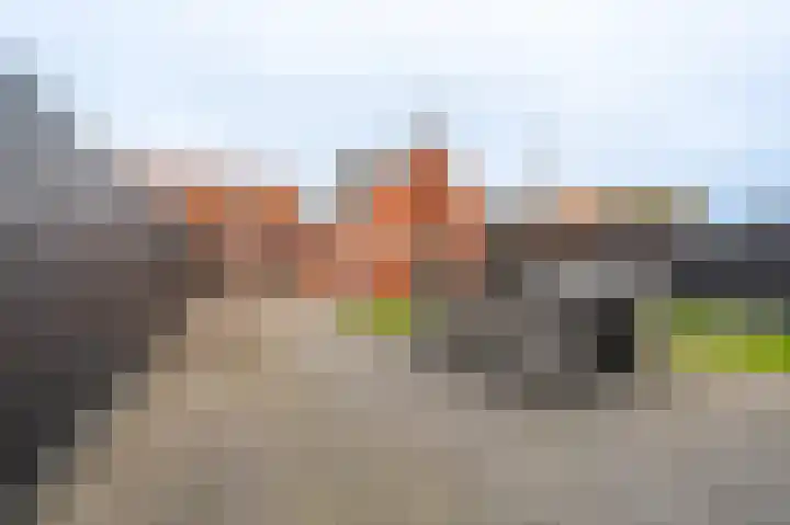 Zuiderstraat 41 Bellingwolde thumbnail 30