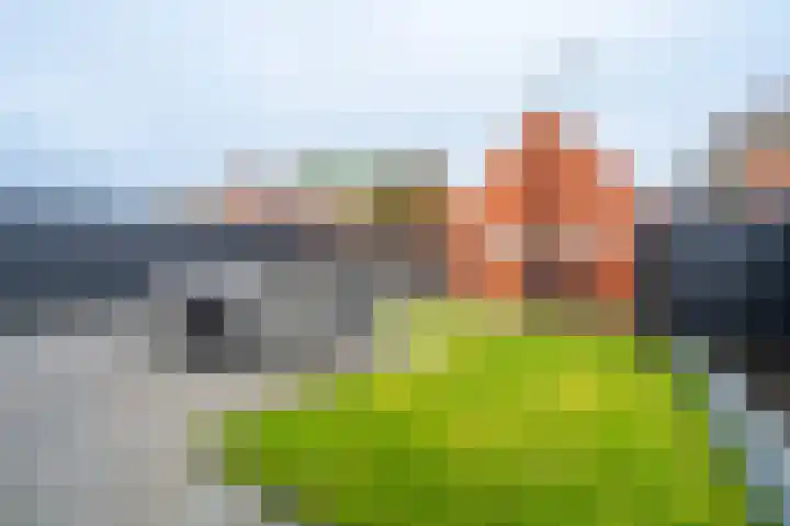 Zuiderstraat 41 Bellingwolde thumbnail 31