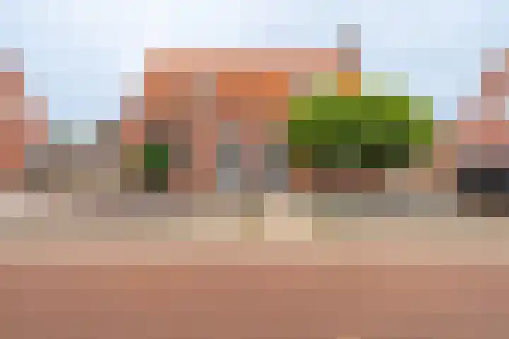 Zuiderstraat 41 Bellingwolde thumbnail 4