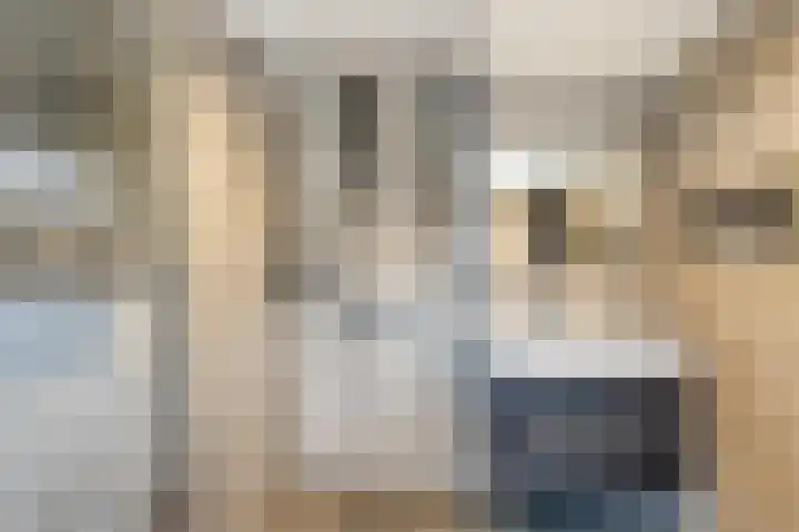Zuiderstraat 43 Bellingwolde thumbnail 31