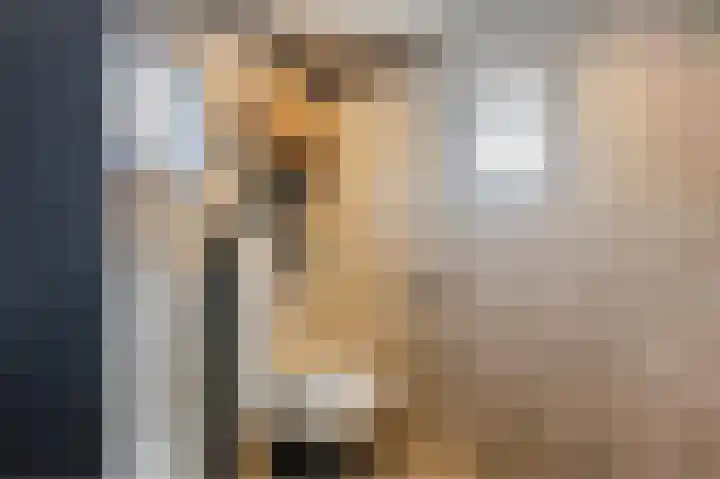 Zuiderstraat 43 Bellingwolde thumbnail 33