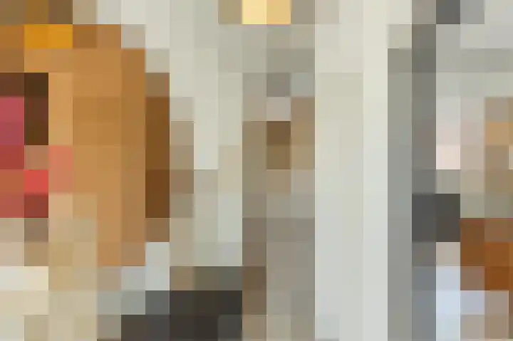 Zuiderstraat 43 Bellingwolde thumbnail 6