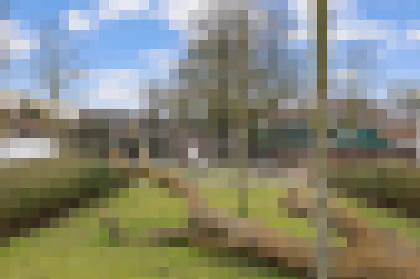 Zuiderstraat 43 Helmond thumbnail 33