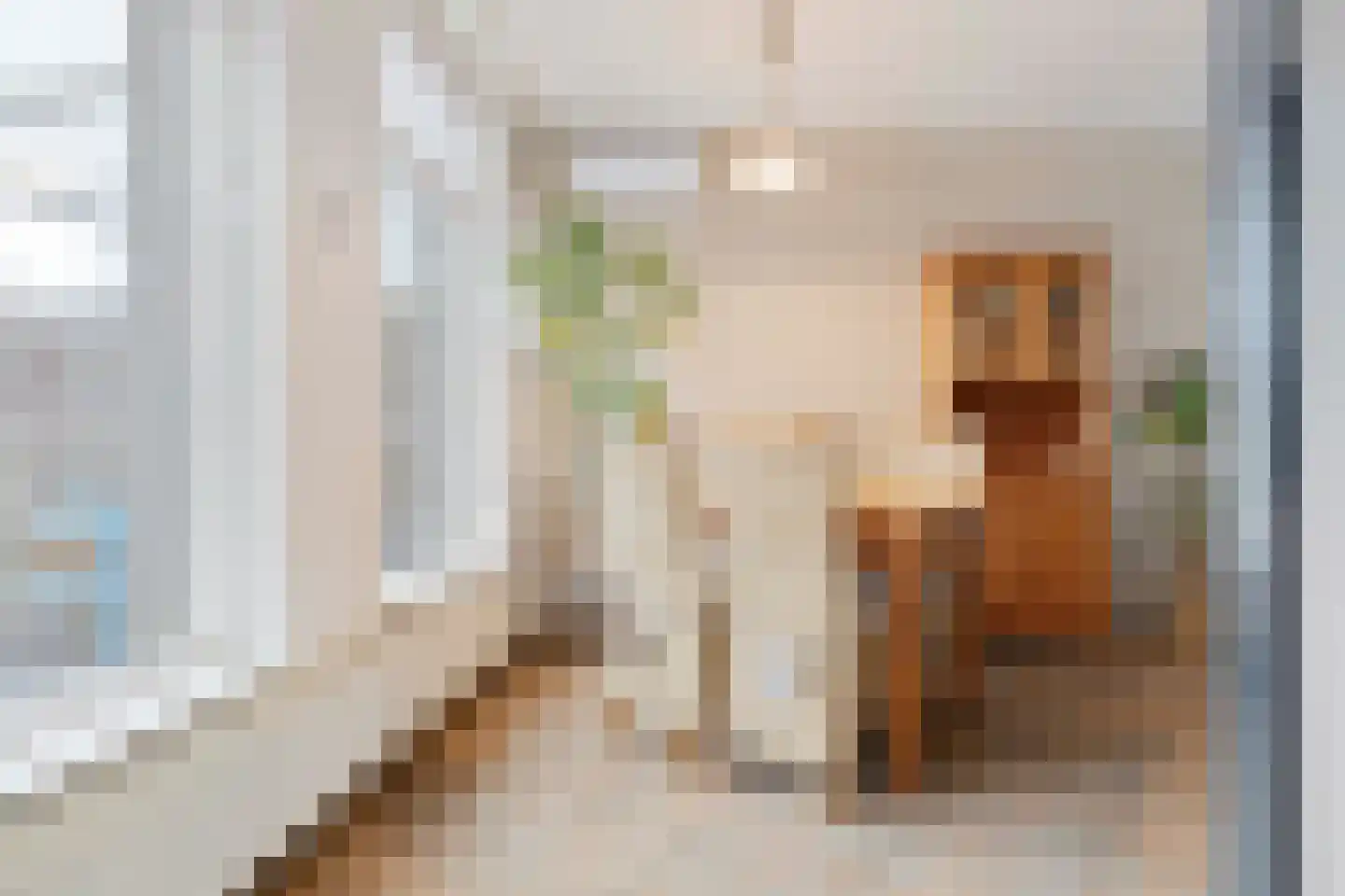 Zuiderstraat 43 Helmond thumbnail 7