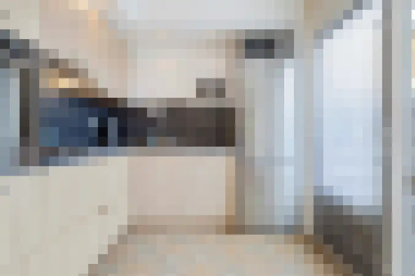 Zuiderstraat 43 Helmond thumbnail 8