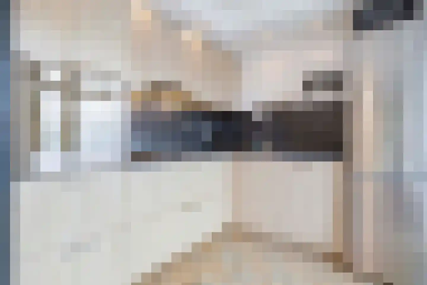 Zuiderstraat 43 Helmond thumbnail 9