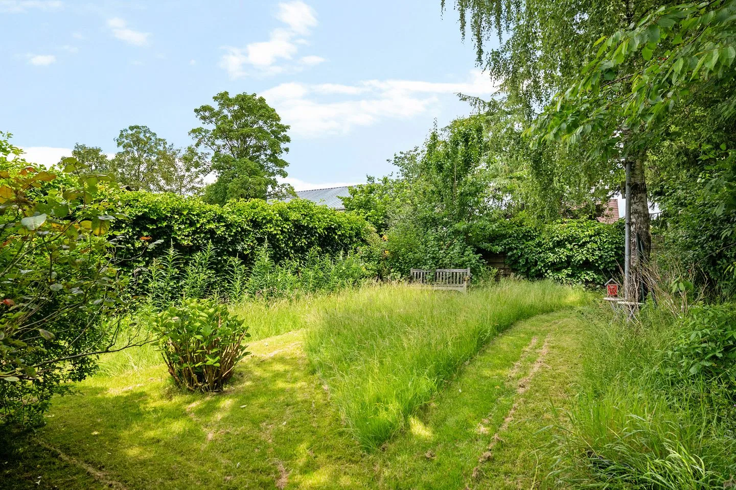 Zuiderstraat 50 Noordbroek thumbnail 55