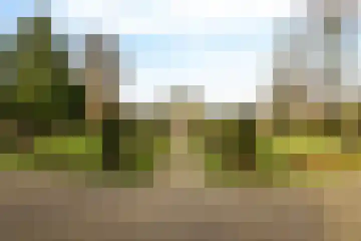 Zuiderstraat 6 Baarn thumbnail 33