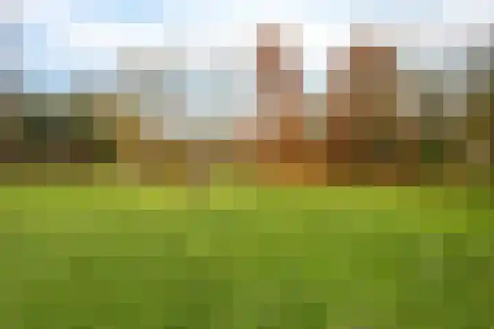 Zuiderstraat 6 Baarn thumbnail 34