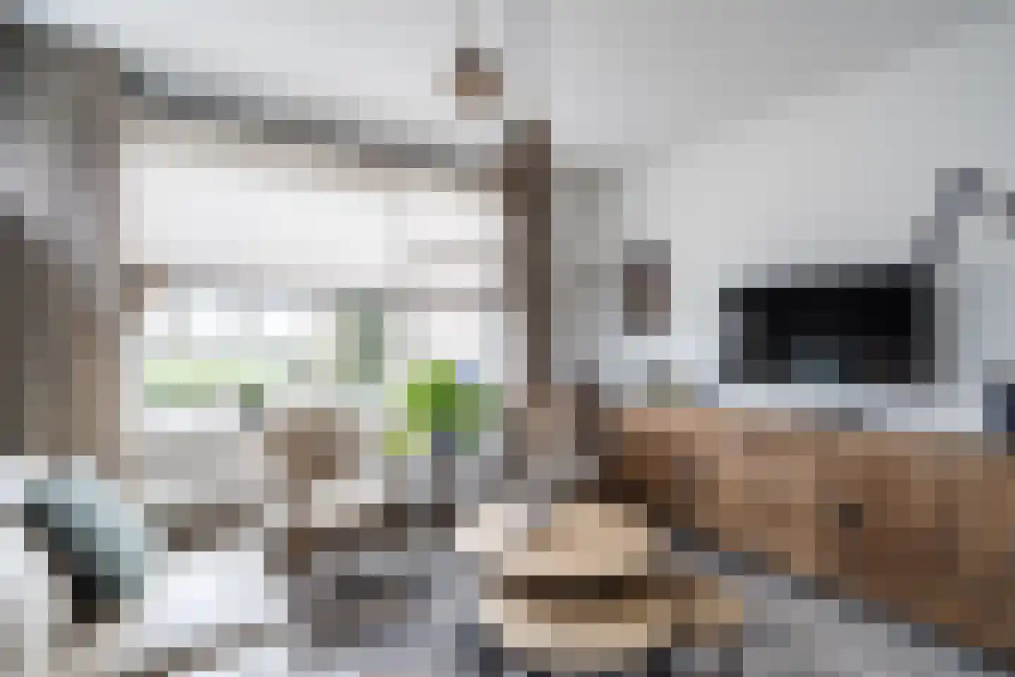 Zuiderstraat 61 Weert thumbnail 6