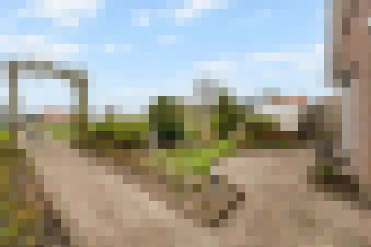 Zuiderstraat 73 West-Graftdijk thumbnail 50