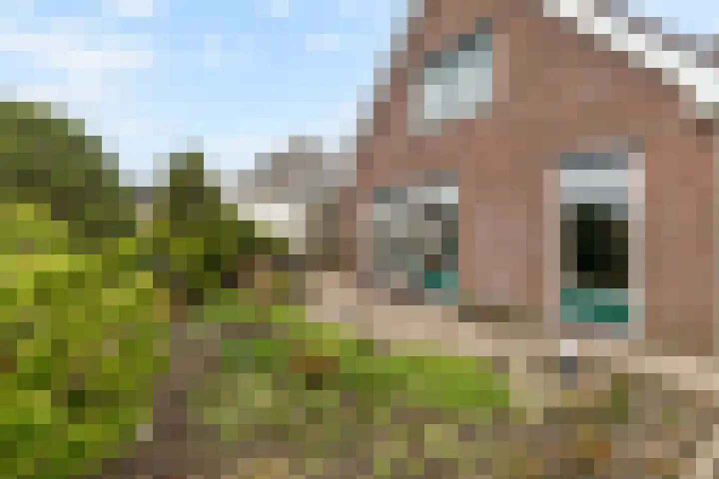 Zuiderstraat 73 West-Graftdijk thumbnail 52