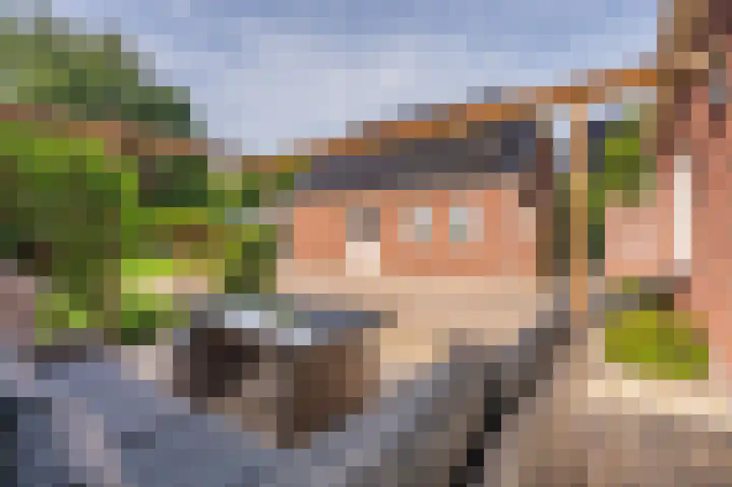 Zuiderstraat 8 Bellingwolde thumbnail 14