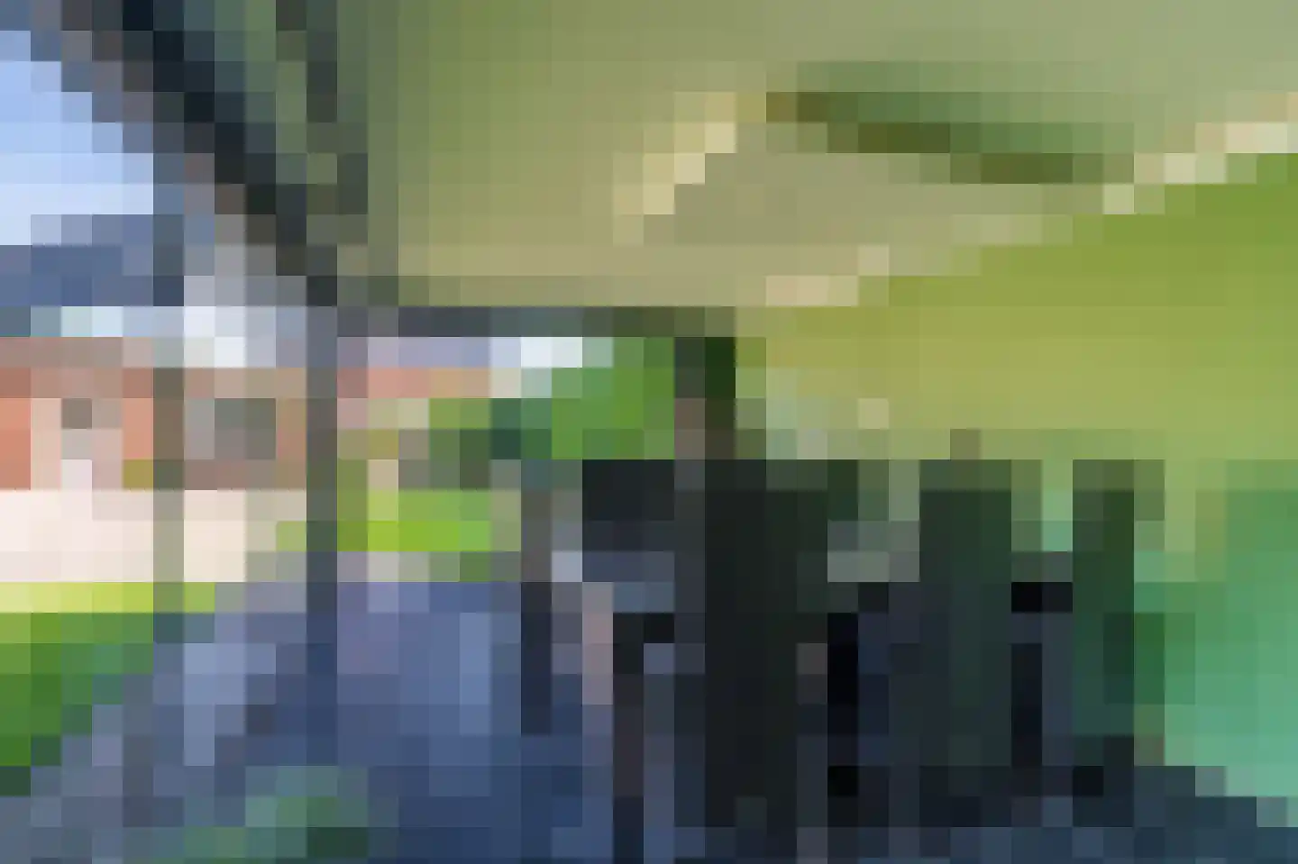 Zuiderstraat 8 Bellingwolde thumbnail 25