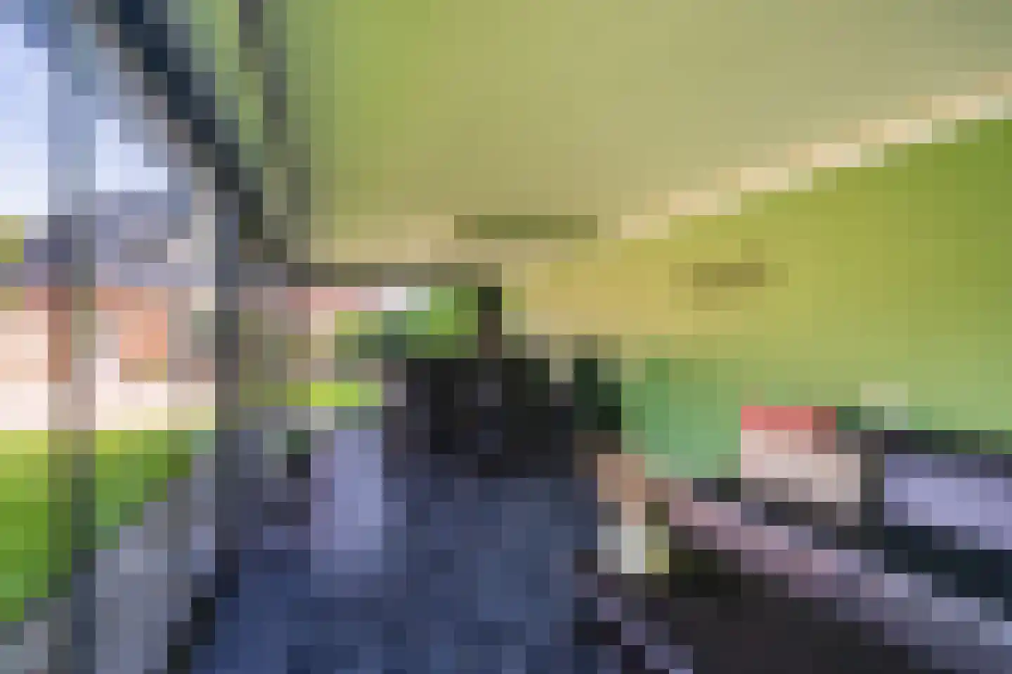 Zuiderstraat 8 Bellingwolde thumbnail 26