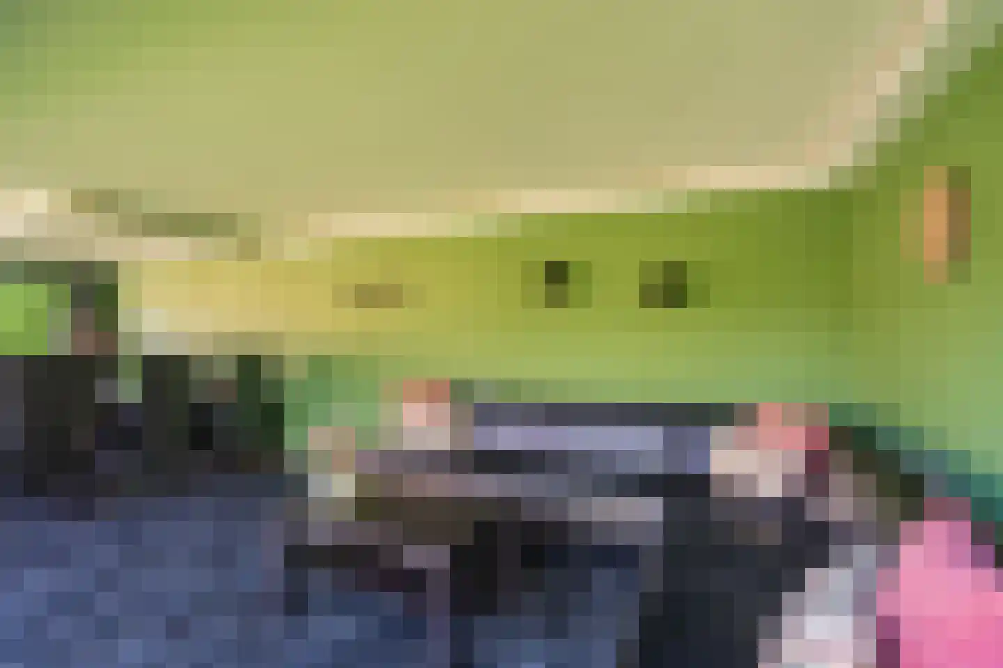 Zuiderstraat 8 Bellingwolde thumbnail 27