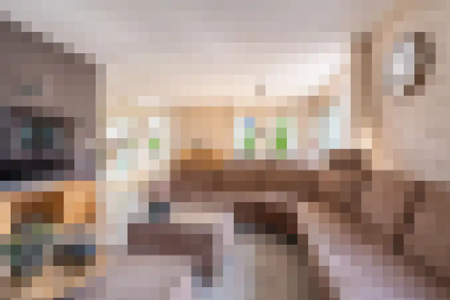 Zuiderstraat 8 Bellingwolde thumbnail 41
