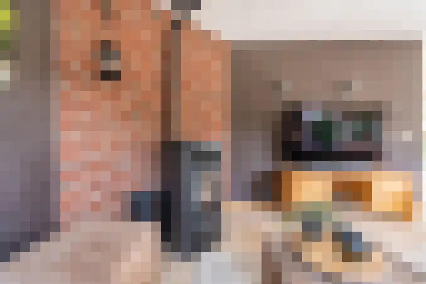 Zuiderstraat 8 Bellingwolde thumbnail 42