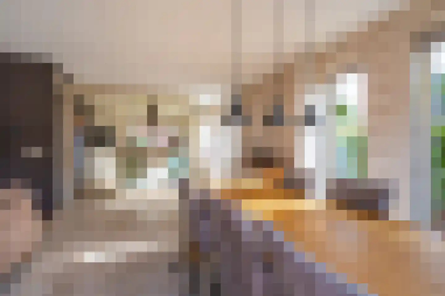 Zuiderstraat 8 Bellingwolde thumbnail 46