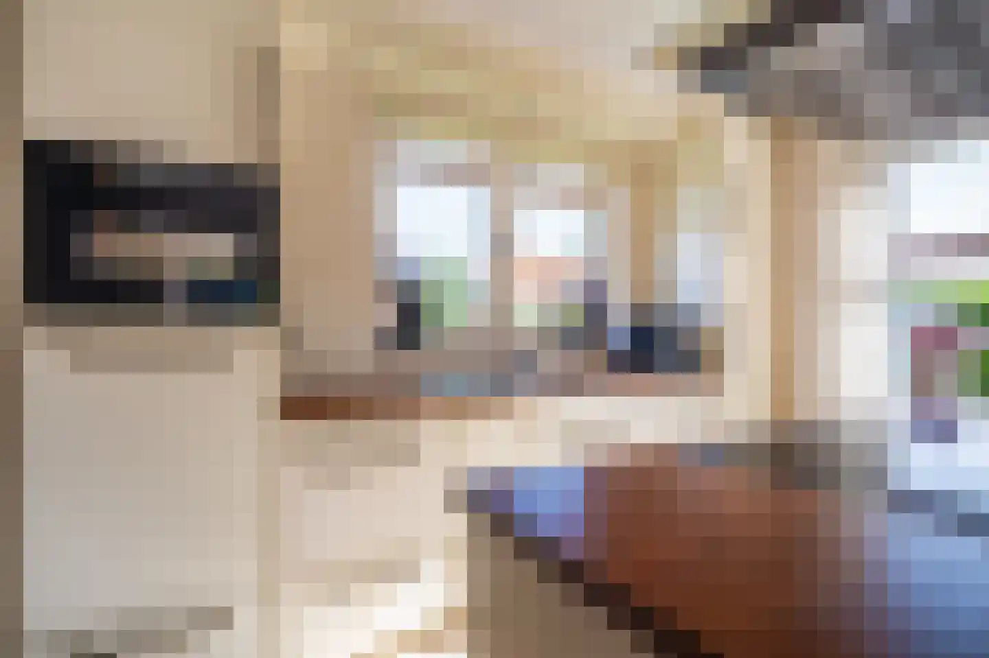 Zuiderstraat 8 Bellingwolde thumbnail 48