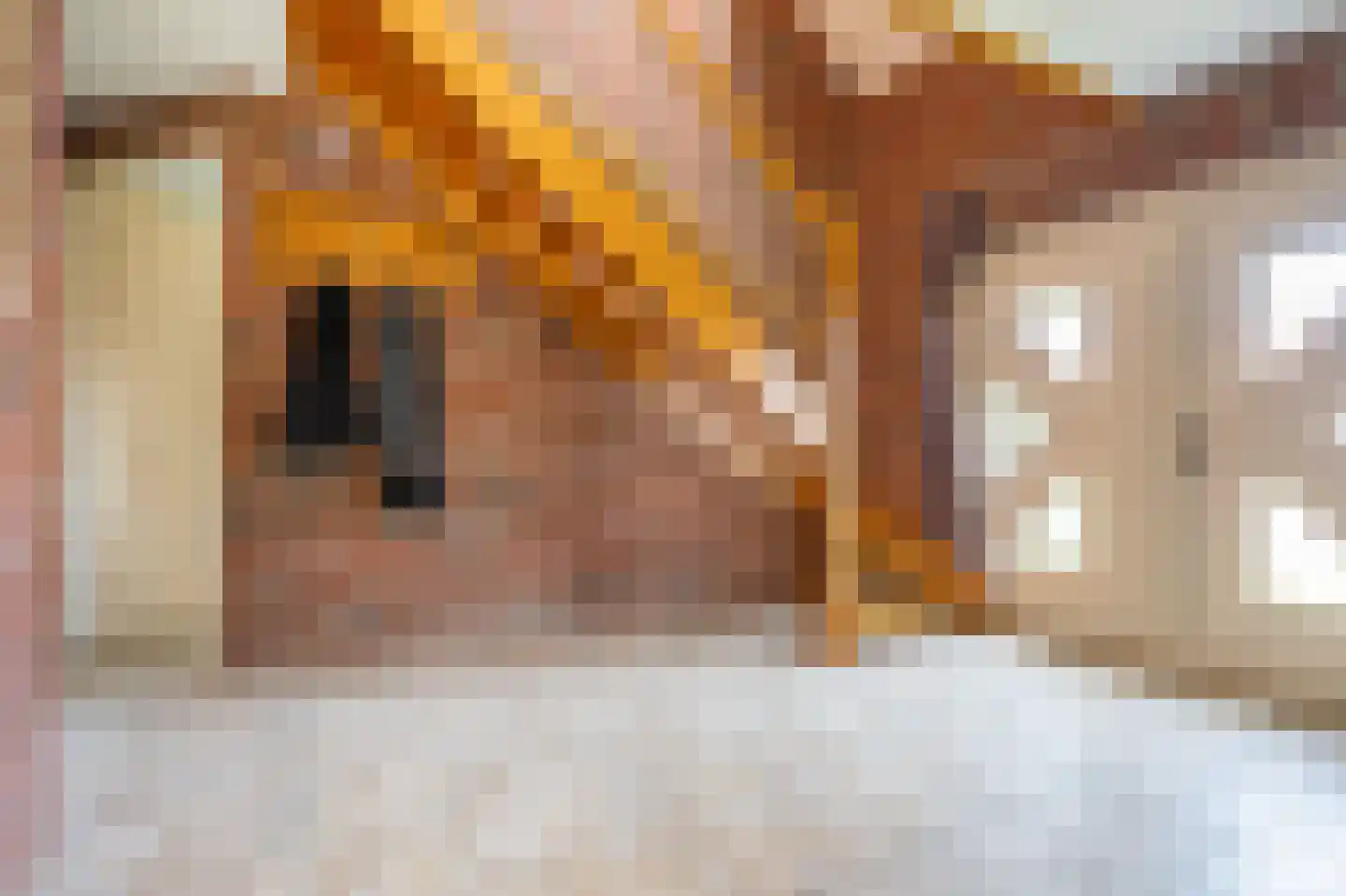 Zuiderstraat 8 Bellingwolde thumbnail 52
