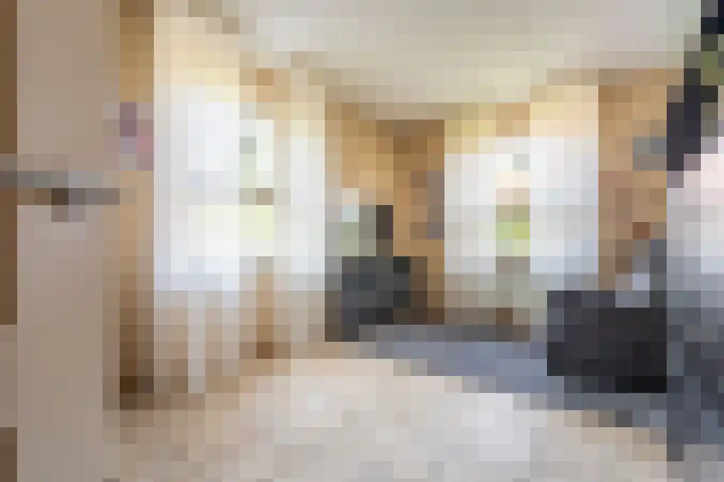 Zuiderstraat 8 Bellingwolde thumbnail 54