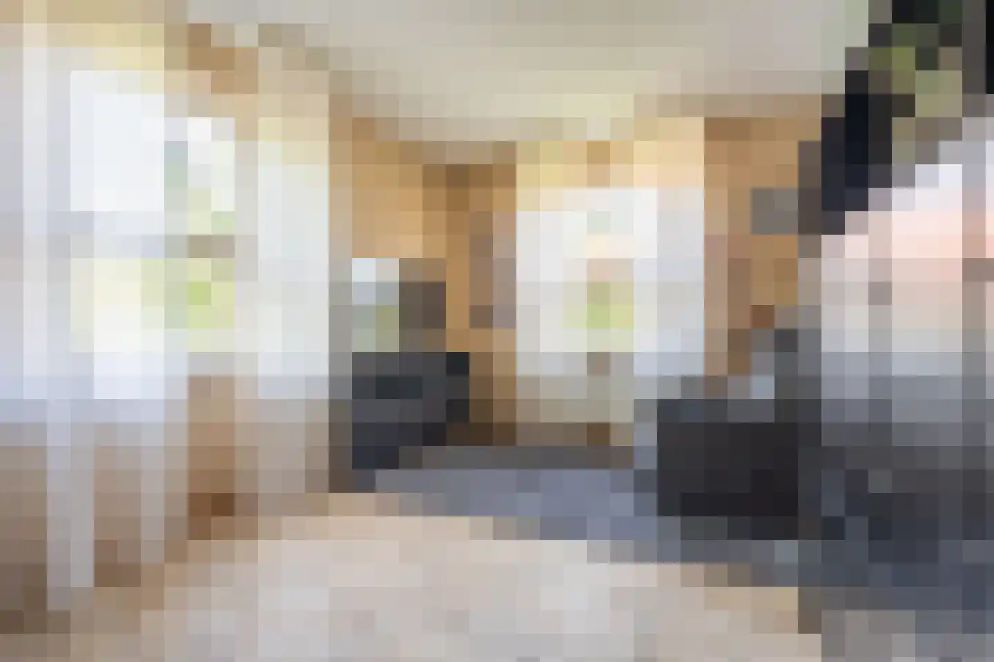 Zuiderstraat 8 Bellingwolde thumbnail 55