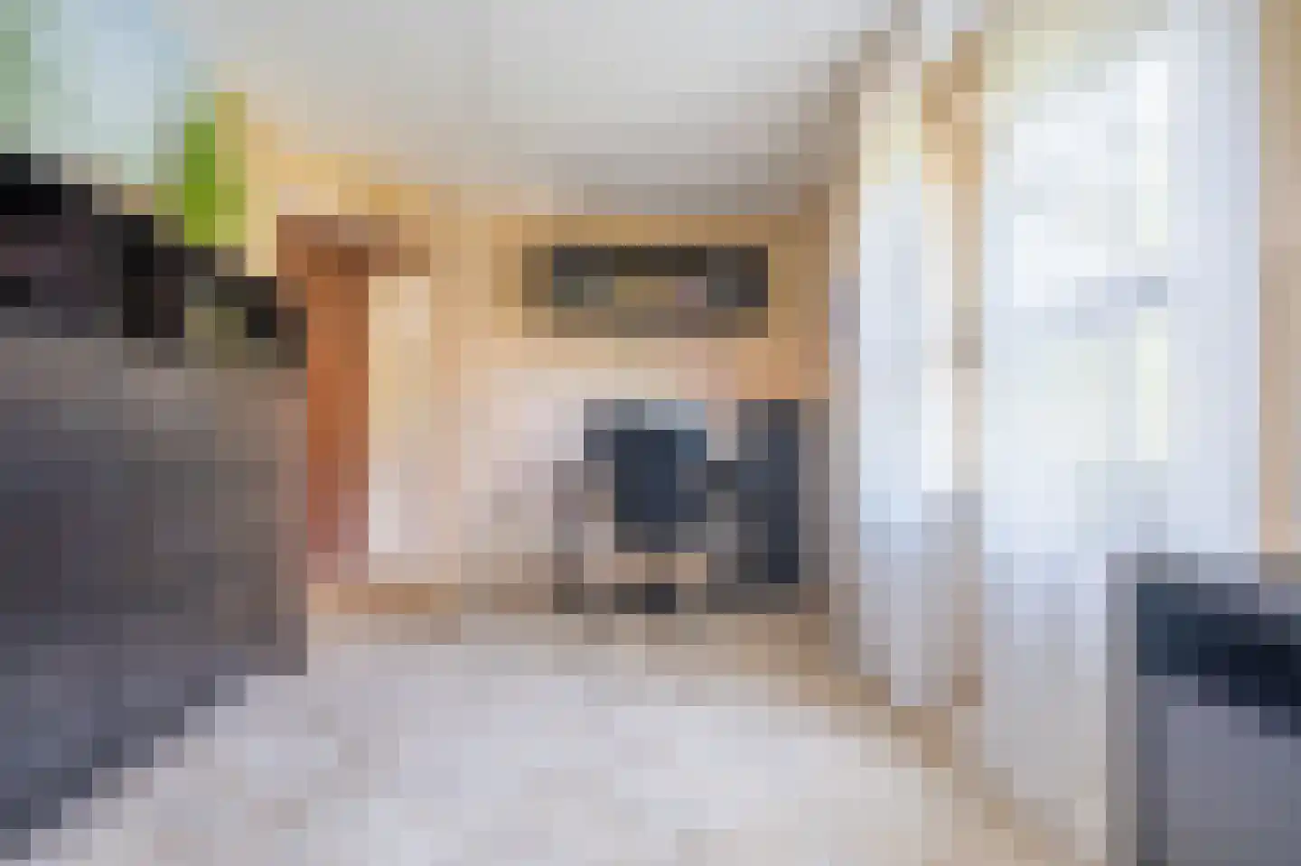 Zuiderstraat 8 Bellingwolde thumbnail 56