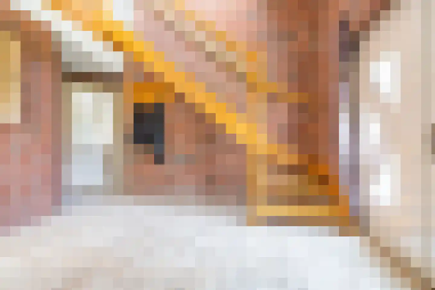 Zuiderstraat 8 Bellingwolde thumbnail 59