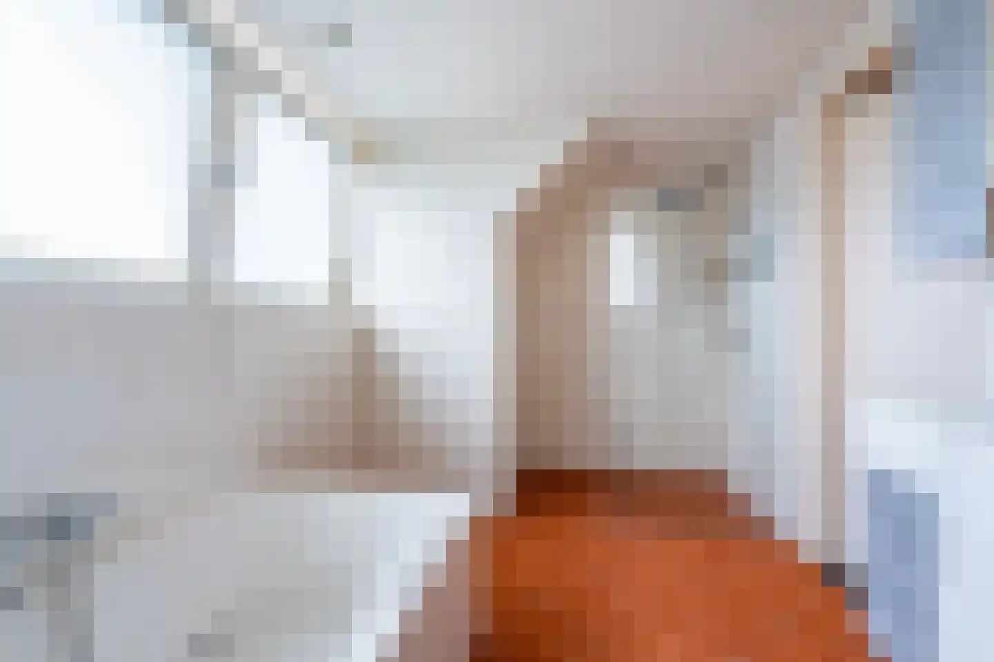 Zuiderstraat 8 Bellingwolde thumbnail 74