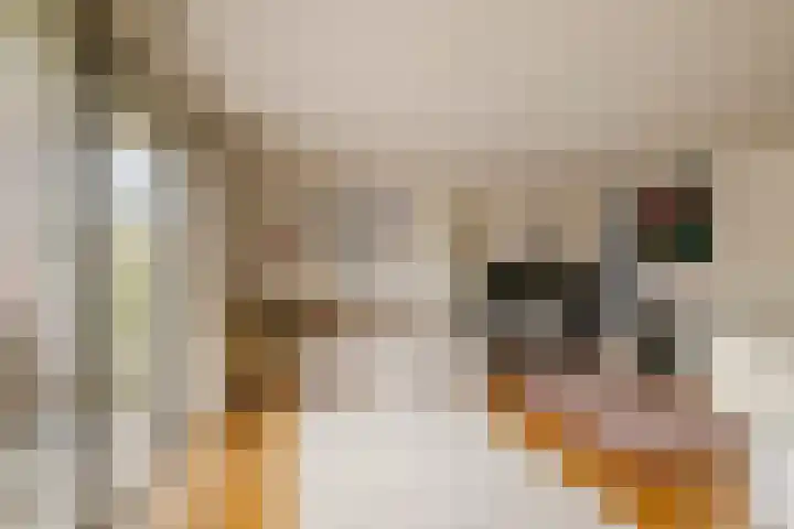 Zuiderstraat 8 Pijnacker thumbnail 10