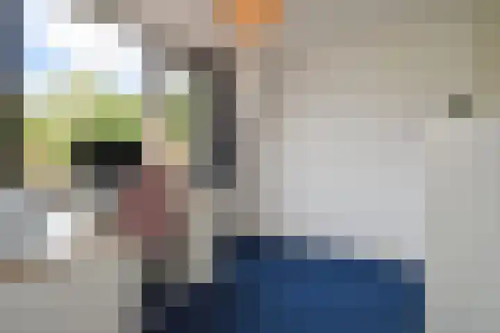 Zuiderstraat 8 Pijnacker thumbnail 15