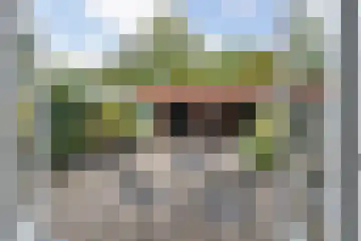 Zuiderstraat 8 Pijnacker foto 2