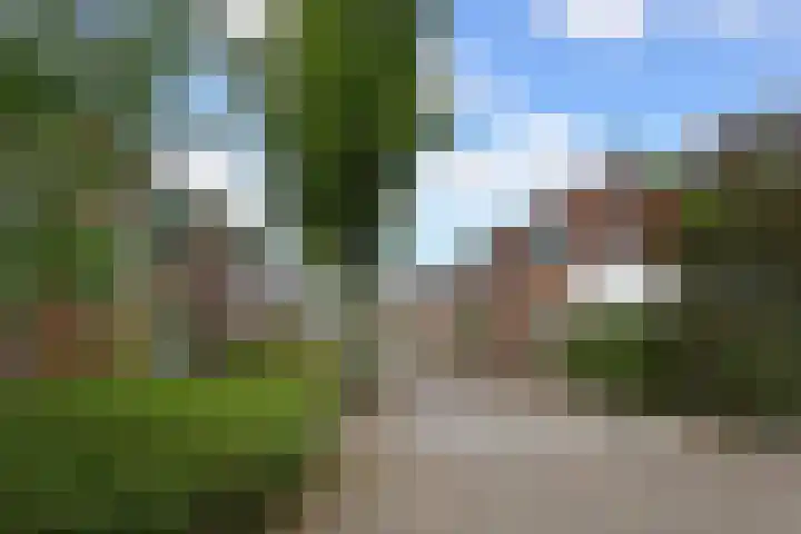 Zuiderstraat 8 Pijnacker thumbnail 5