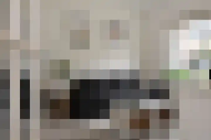 Zuiderstraat 8 Pijnacker thumbnail 9