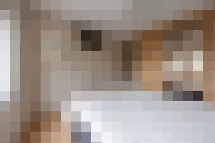 Zuiderstraat 84 Rijssen thumbnail 31