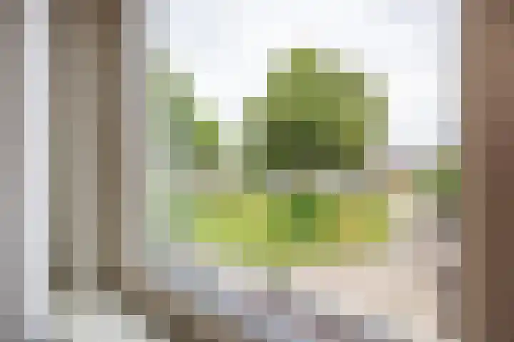 Zuiderstraat 84 Rijssen thumbnail 35