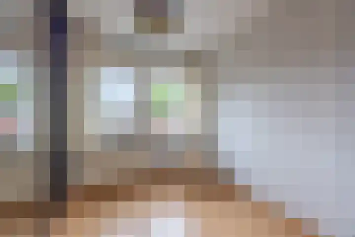 Zuiderstraat 84 Rijssen thumbnail 36