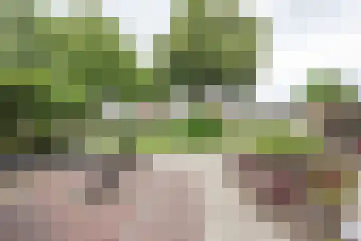 Zuiderstraat 84 Rijssen thumbnail 52
