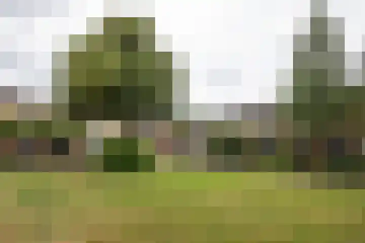 Zuiderstraat 84 Rijssen thumbnail 6