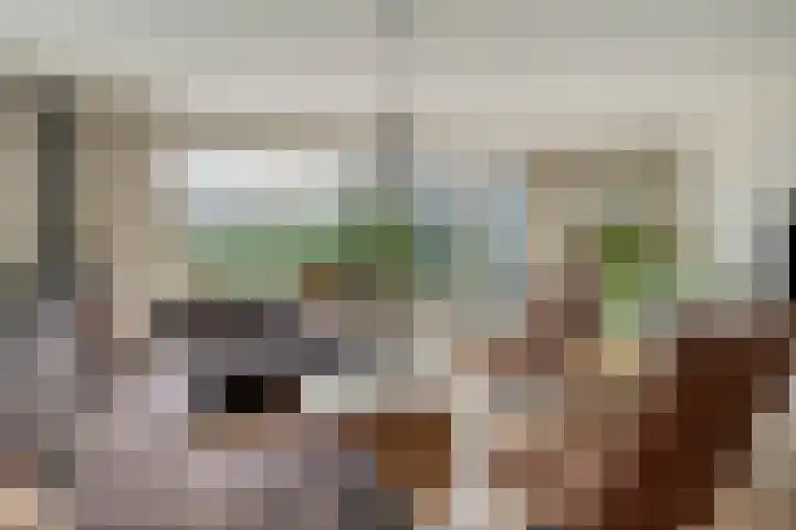 Zuiderstraat 9 Grolloo thumbnail 14