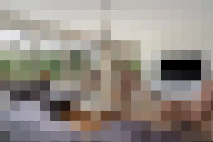 Zuiderstraat 9 Grolloo thumbnail 16